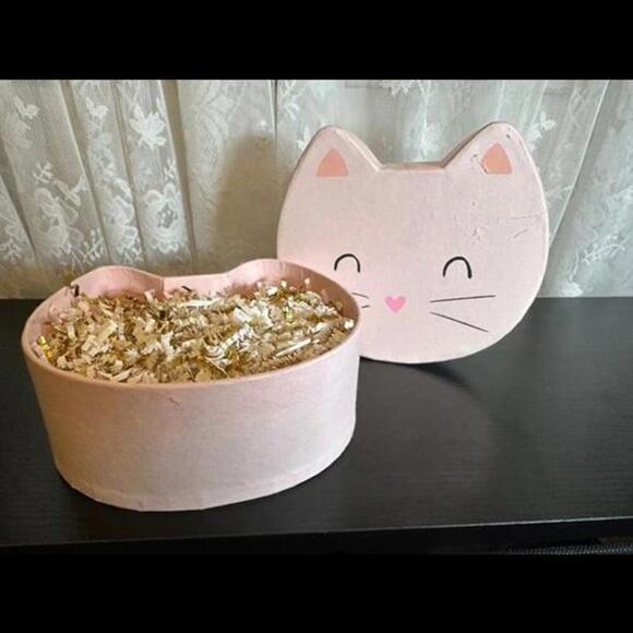 Adorable Pink Cat Shaped Storage/Gift Box - Picture 2 of 3
